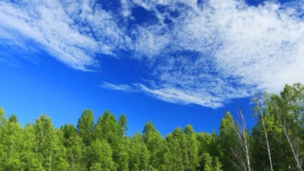 山東將環評審批、危廢許可等多項審批權下放